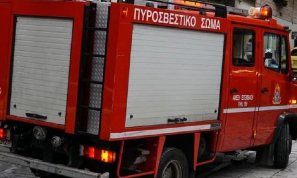 Πυρκαγιά ξέσπασε σε δασική έκταση στην Ανατολική Μάνη
